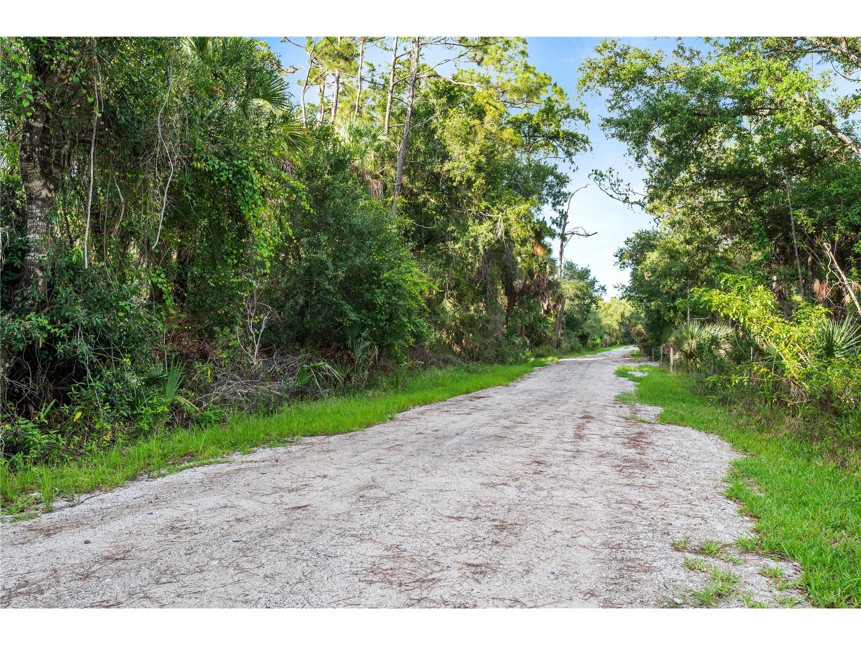 Slash Pine Drive North Port FL 34291 C7527342 image23