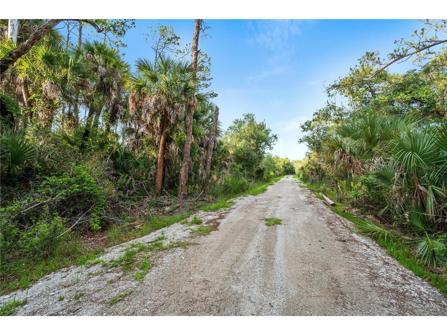 Slash Pine Drive North Port FL 34291 C7527342 image24