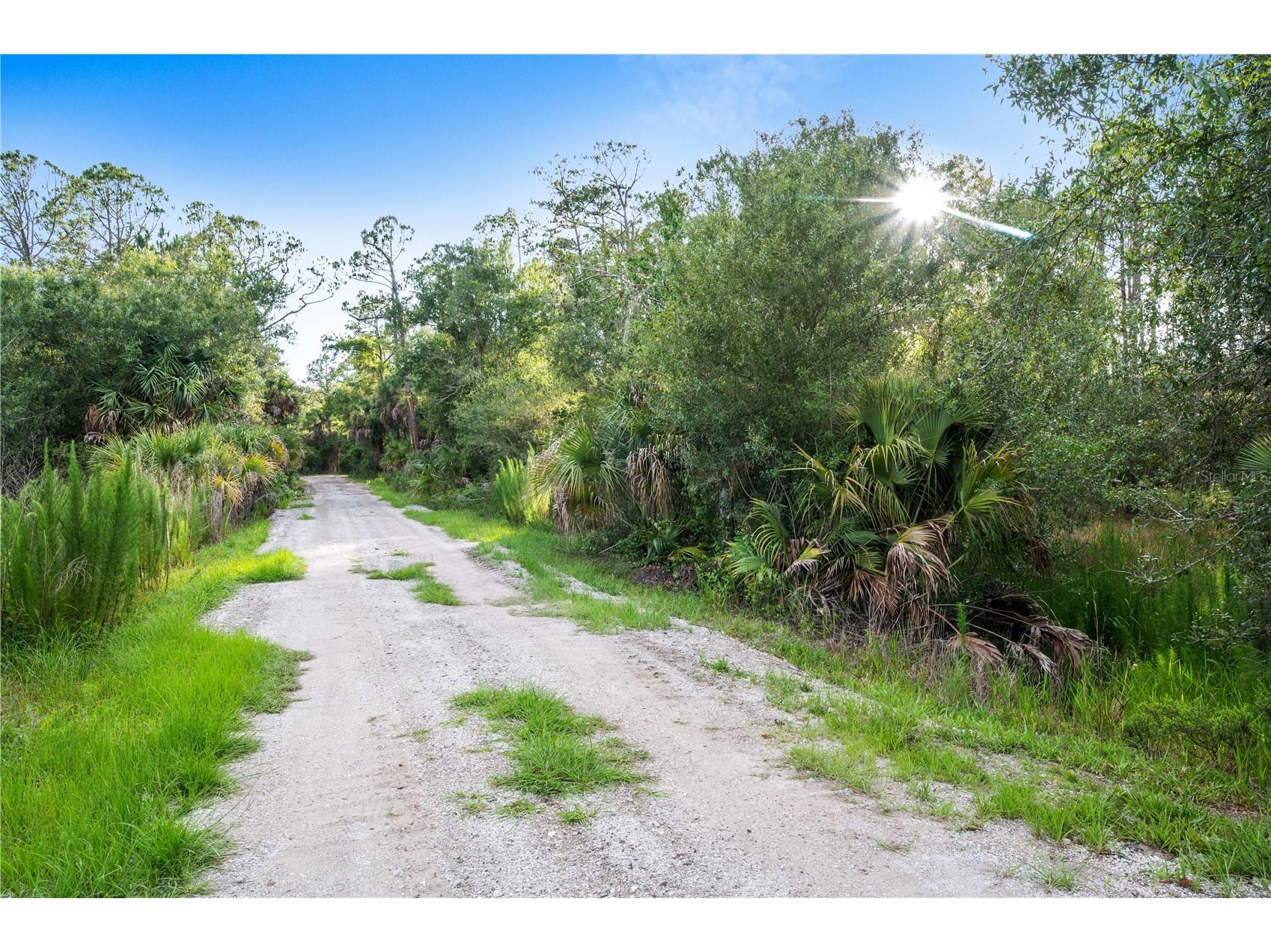 Slash Pine Drive North Port FL 34291 C7527342 image25