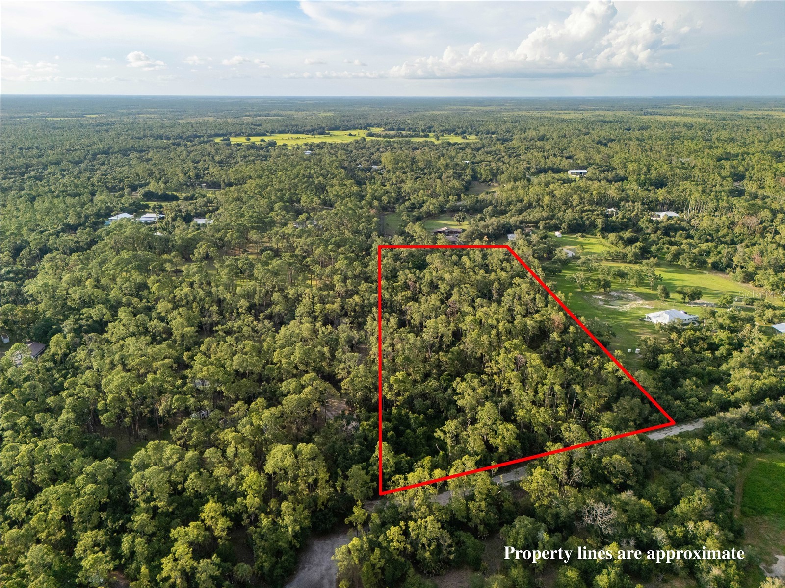 Slash Pine Drive North Port FL 34291 C7527342 image3