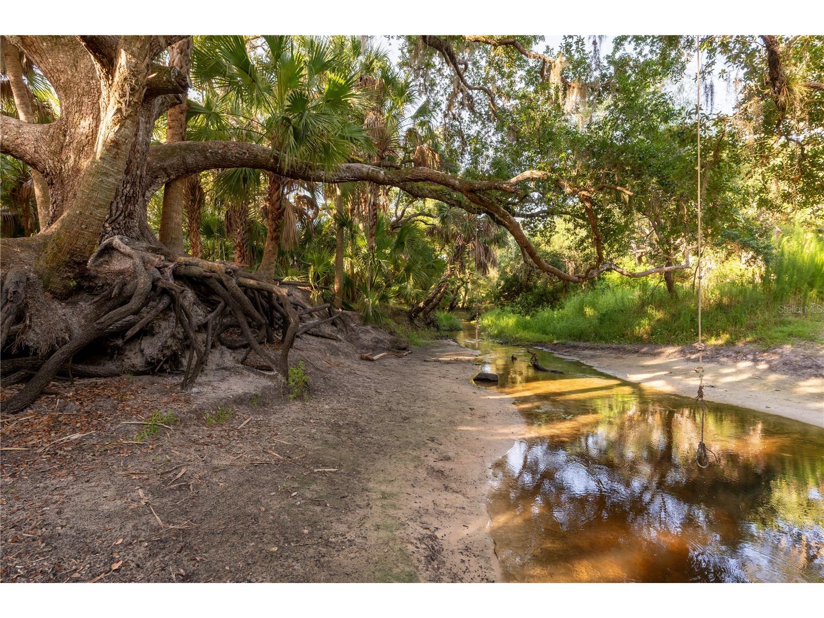 Slash Pine Drive North Port FL 34291 C7527342 image34