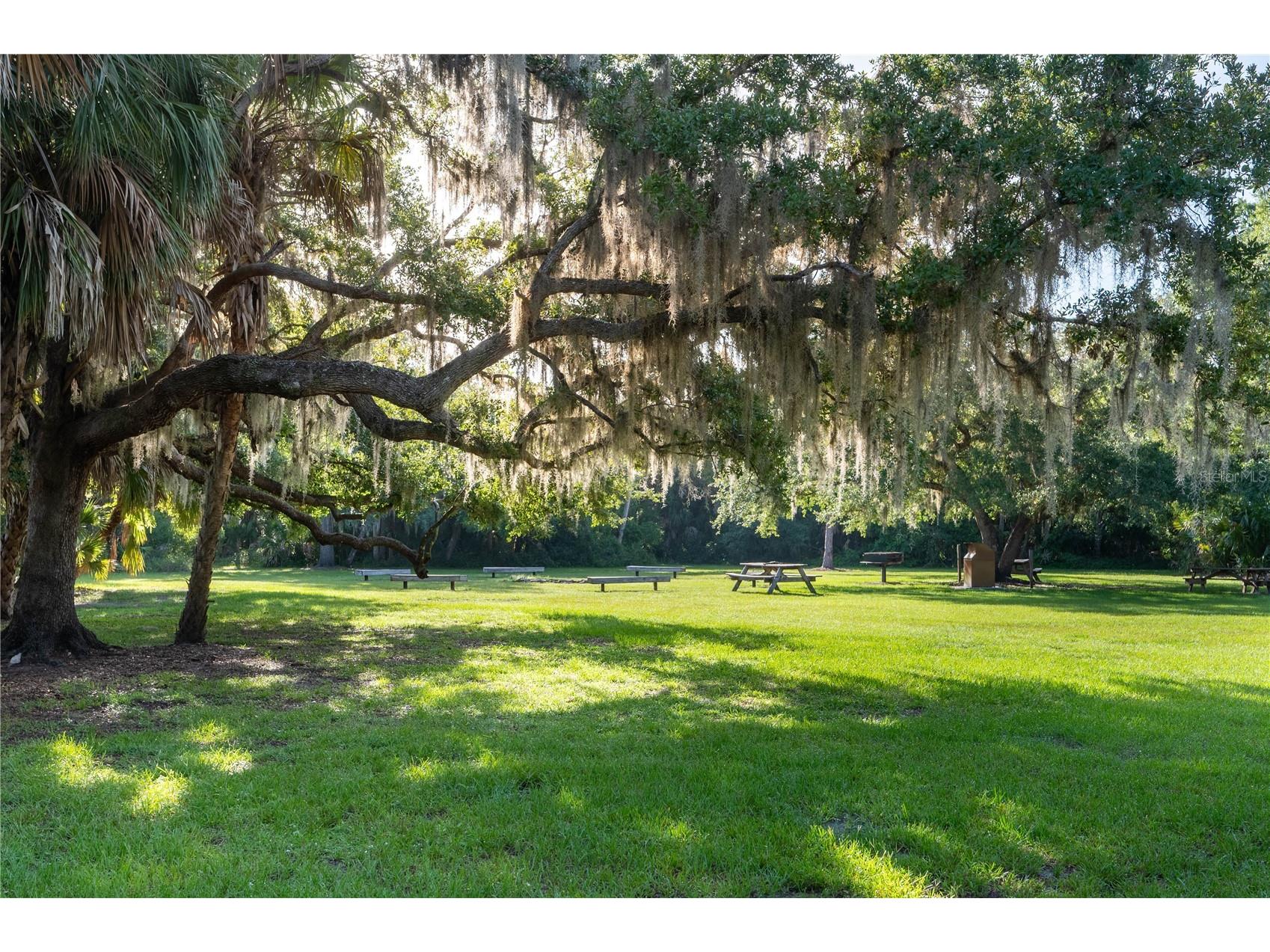 Slash Pine Drive North Port FL 34291 C7527342 image35