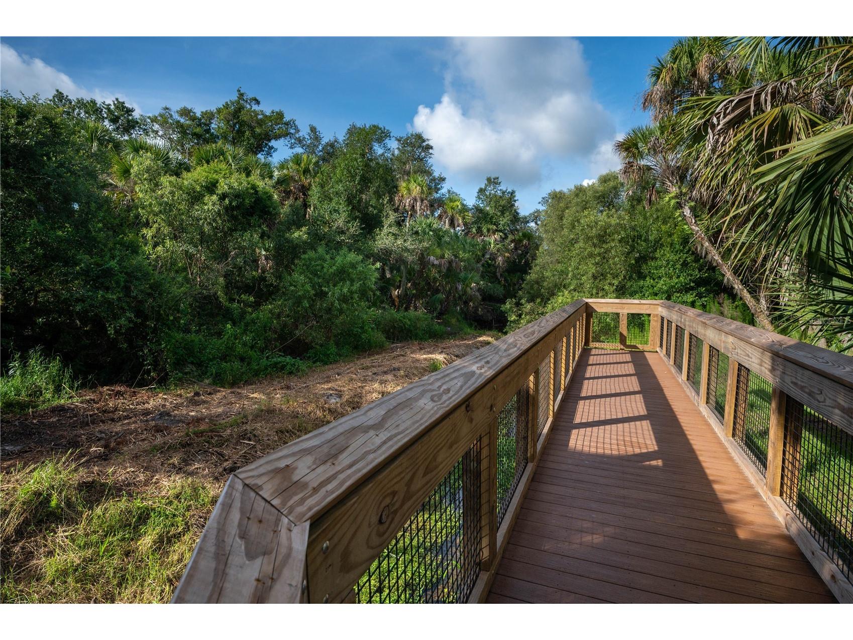 Slash Pine Drive North Port FL 34291 C7527342 image38