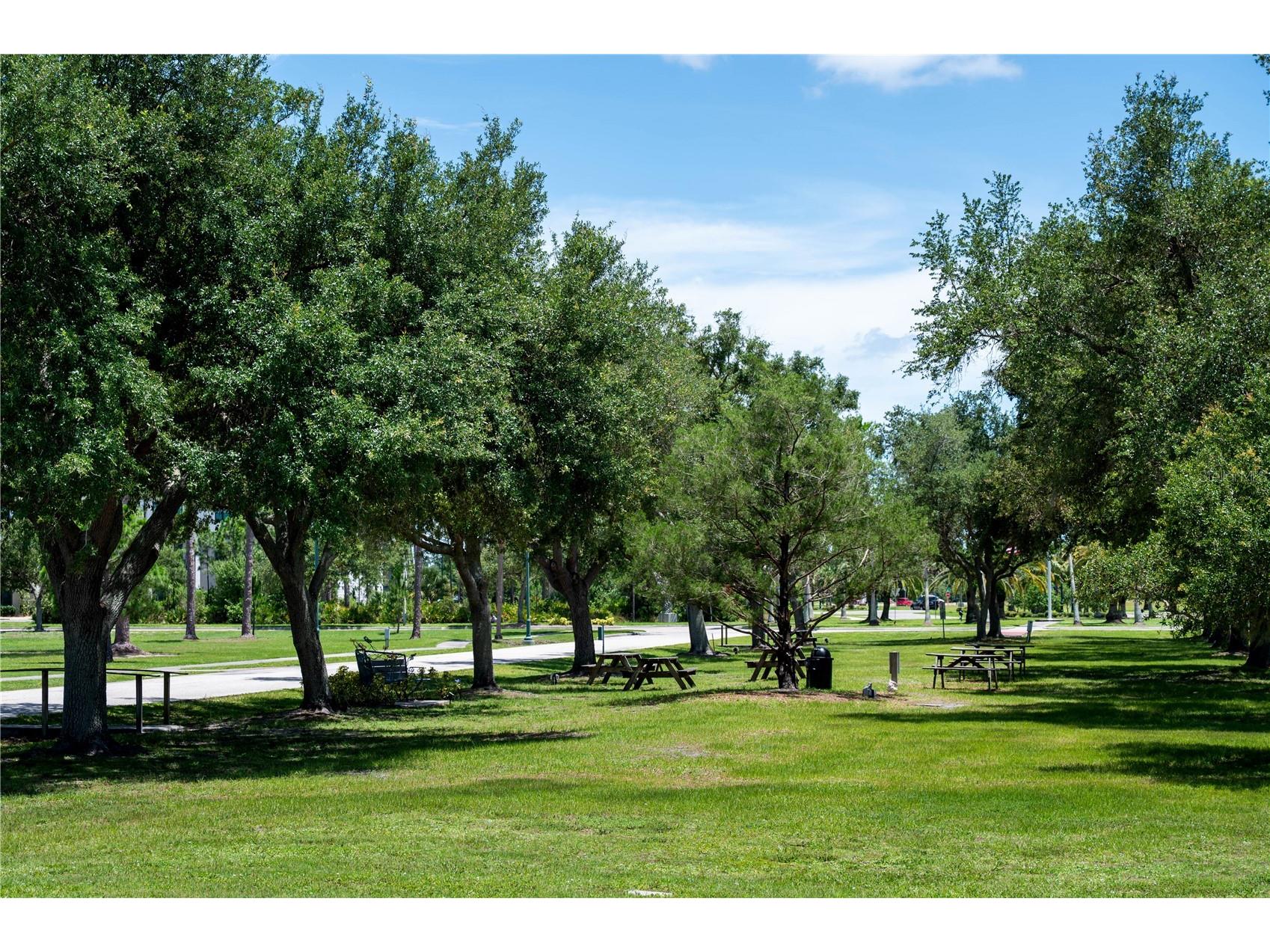 Slash Pine Drive North Port FL 34291 C7527342 image64