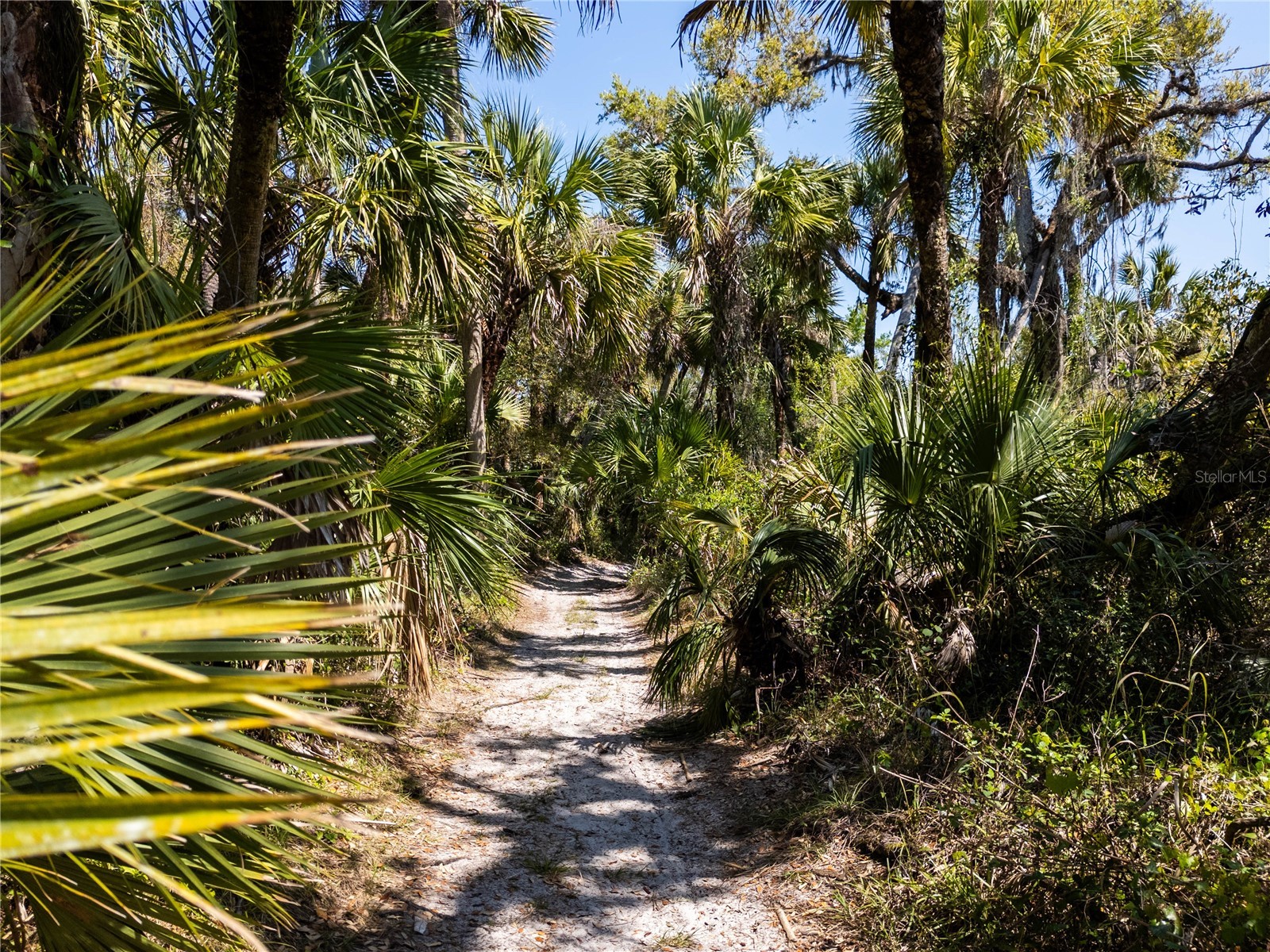 Slash Pine Drive North Port FL 34291 C7527342 image75