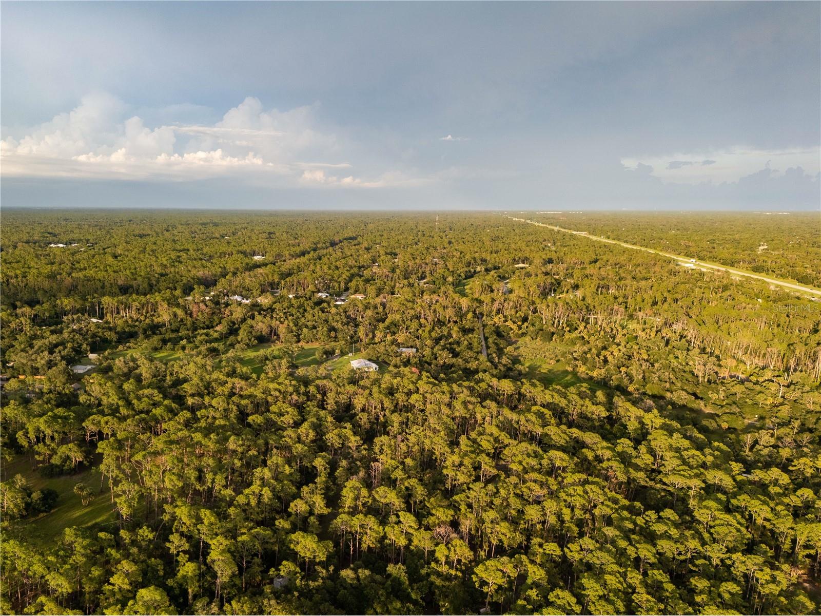 Slash Pine Drive North Port FL 34291 C7527342 image8