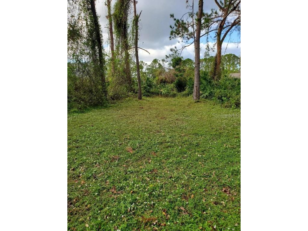 Slayton Avenue North Port FL 34286 C7501919 image6