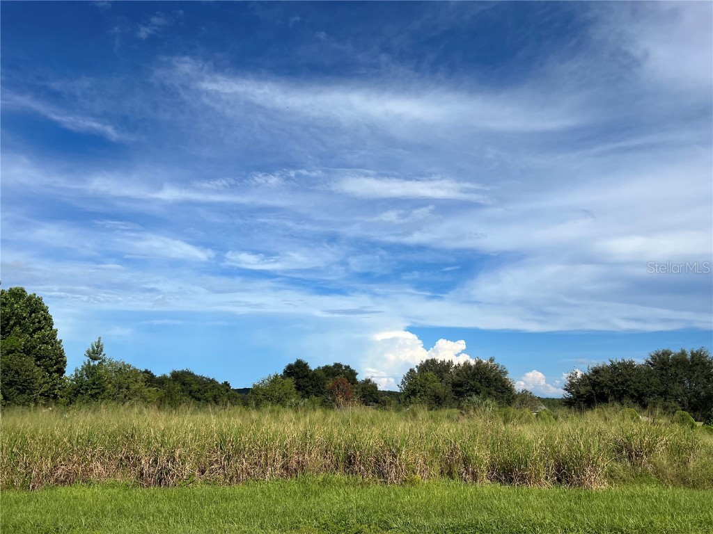 Sleepy Hollow Road Leesburg FL 34748 G5060698 image1