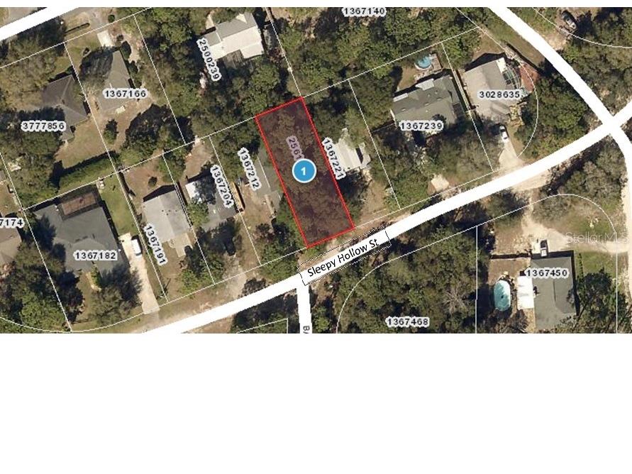 Sleepy Hollow Street Mount Plymouth FL 32776 O6119622 image1