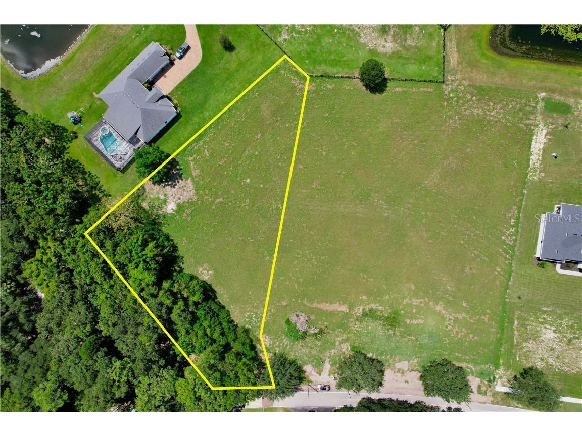 Sloewood Drive Mount Dora FL 32757 O6143646 image1