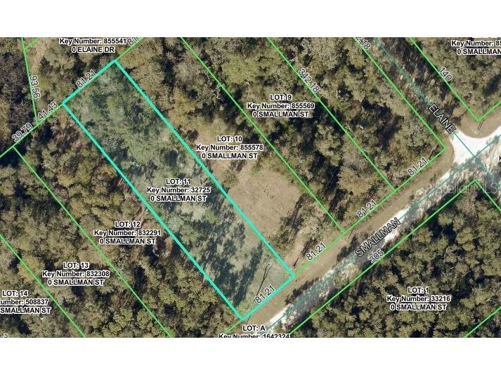 Smallman Street Webster FL 33597 TB8515030 image1