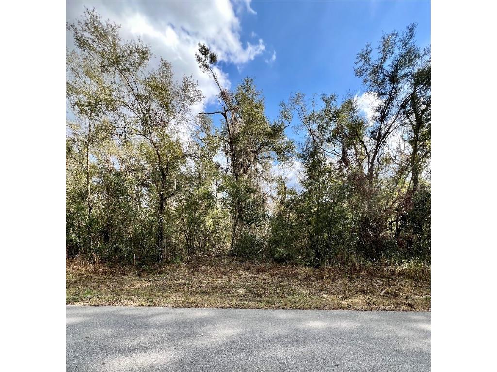 Smallman Street Webster FL 33597 W7872260 image1