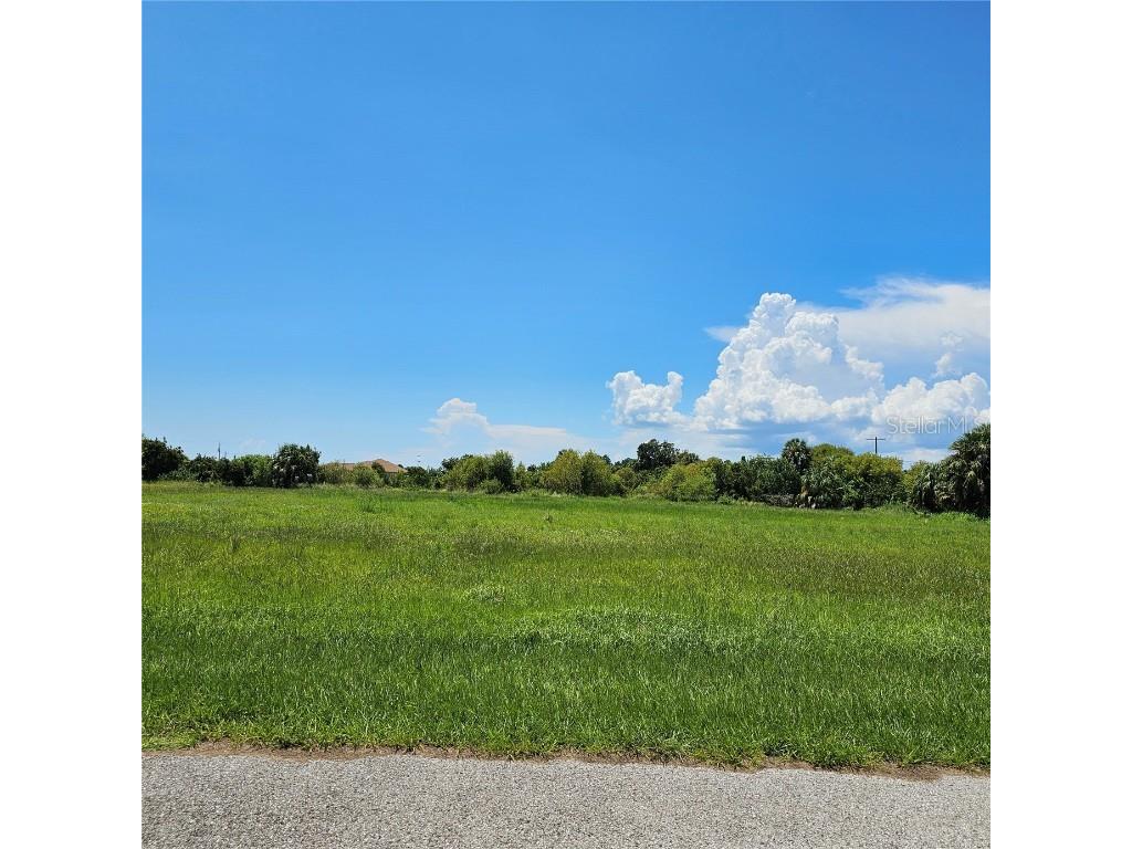 Smilodon Trail Ruskin FL 33570 TB8418968 image1