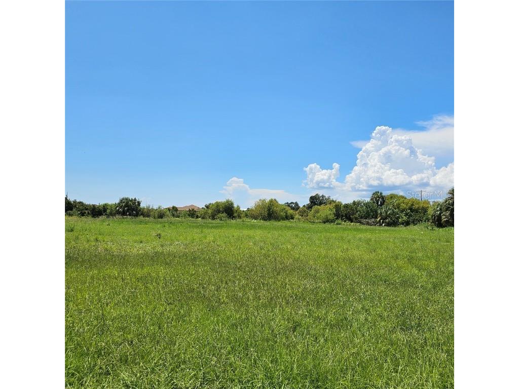 Smilodon Trail Ruskin FL 33570 TB8418968 image2