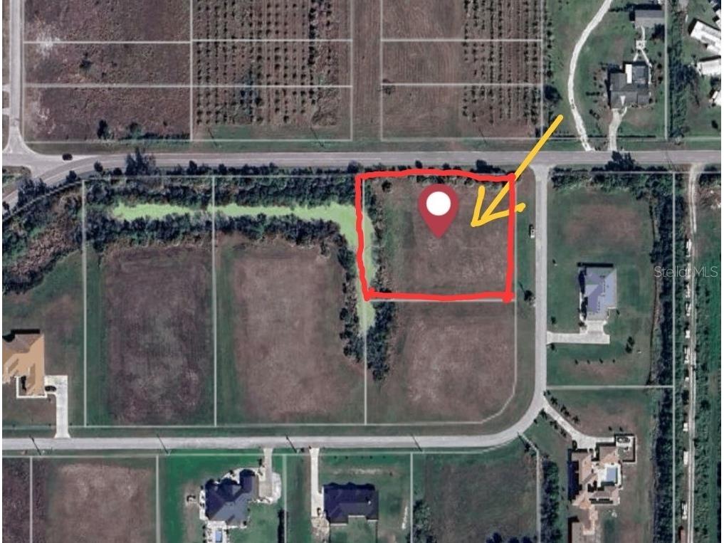 Smilodon Trail Ruskin FL 33570 TB8418968 image3