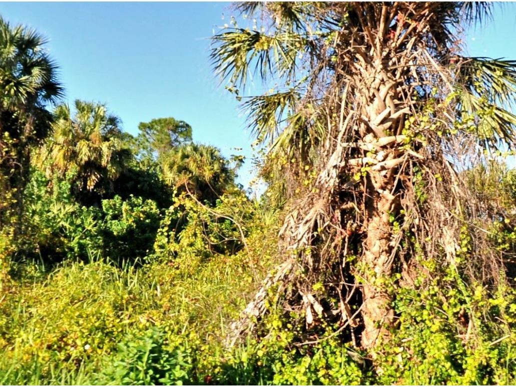 Snover Avenue North Port FL 34286 NS1082945 image1