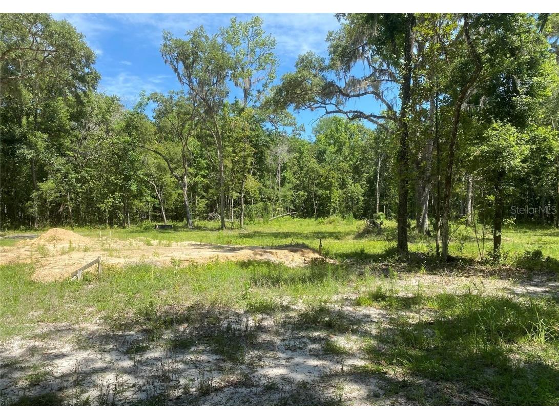 Snow Memorial Highway Brooksville FL 34601 W7874138 image1