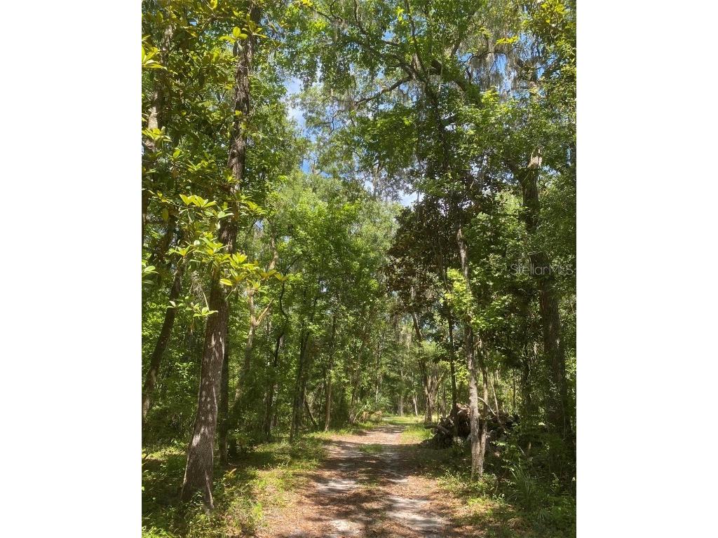 Snow Memorial Highway Brooksville FL 34601 W7874138 image10