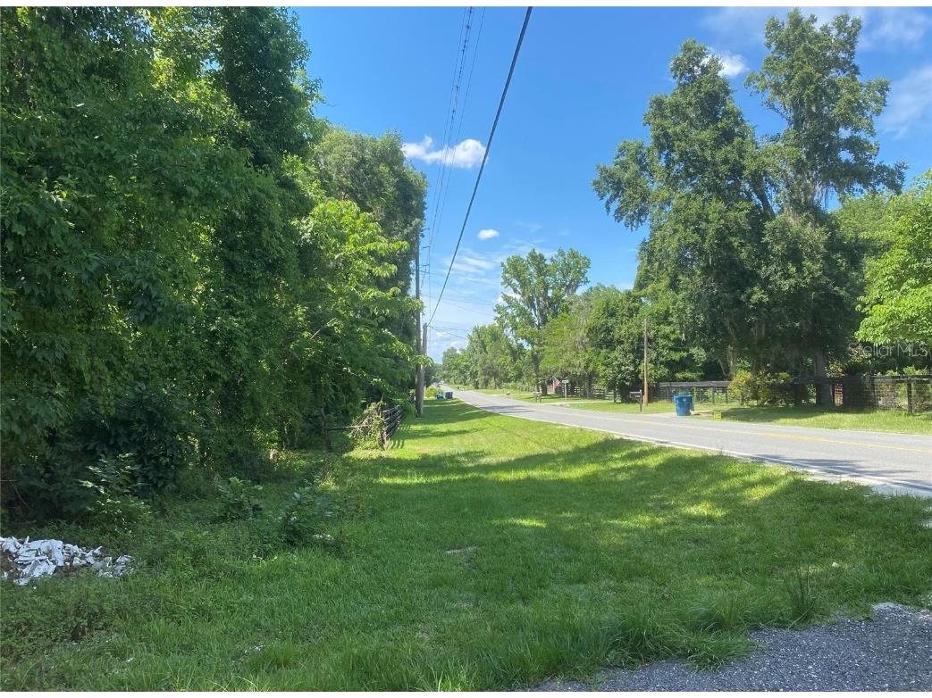 Snow Memorial Highway Brooksville FL 34601 W7874138 image11