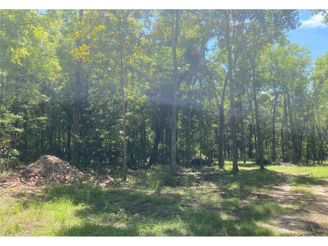 Snow Memorial Highway Brooksville FL 34601 W7874138 image13