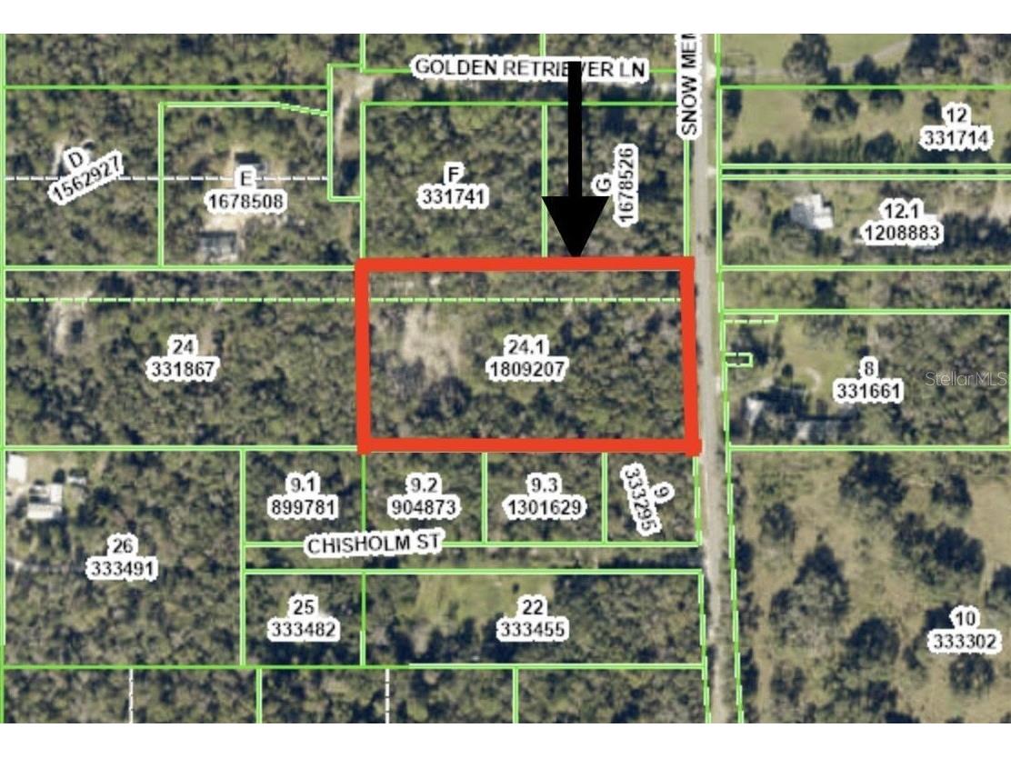 Snow Memorial Highway Brooksville FL 34601 W7874138 image2