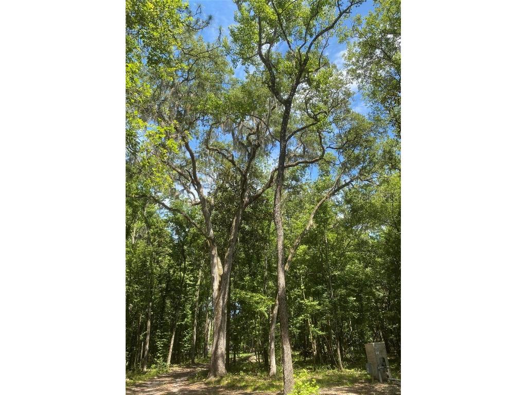 Snow Memorial Highway Brooksville FL 34601 W7874138 image3