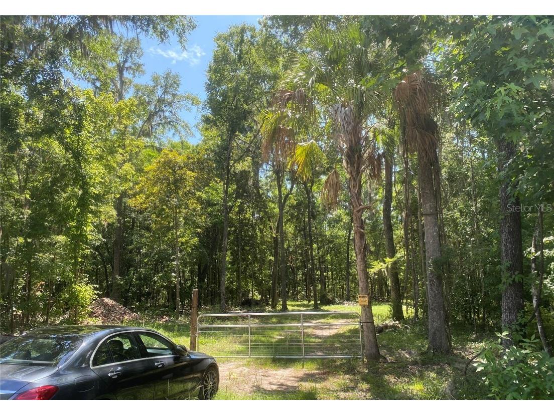 Snow Memorial Highway Brooksville FL 34601 W7874138 image4