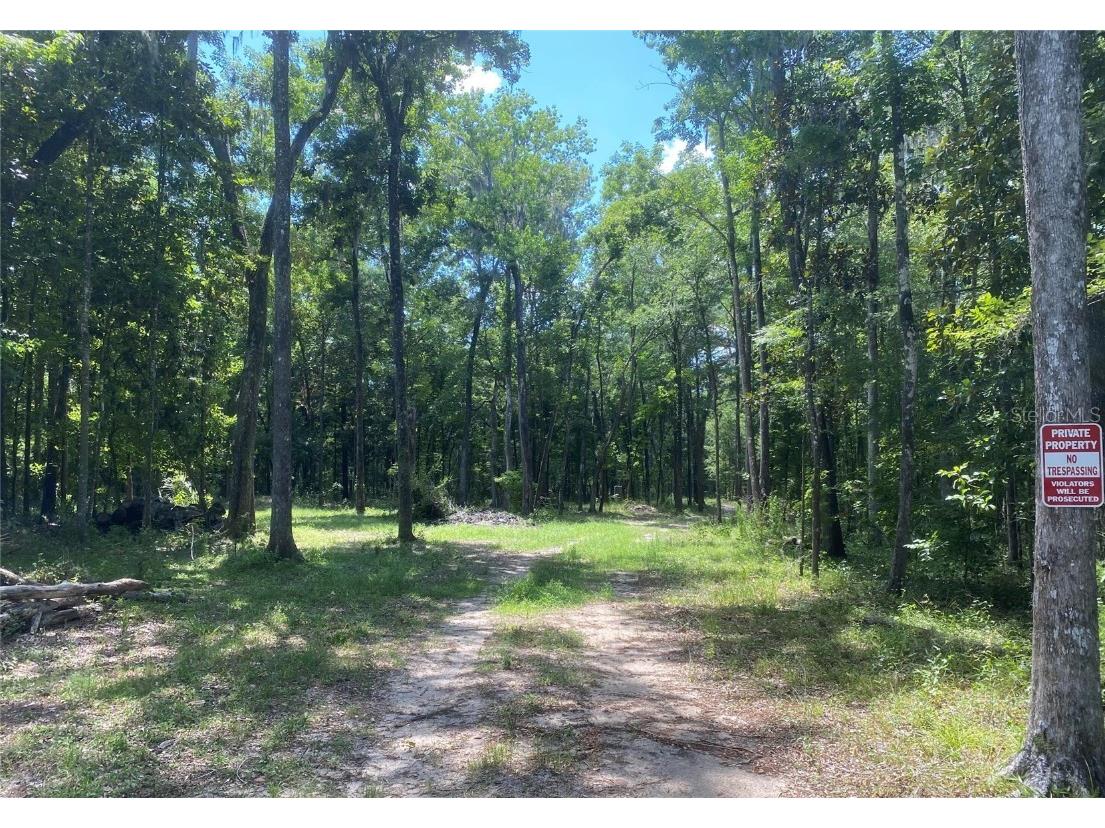 Snow Memorial Highway Brooksville FL 34601 W7874138 image5