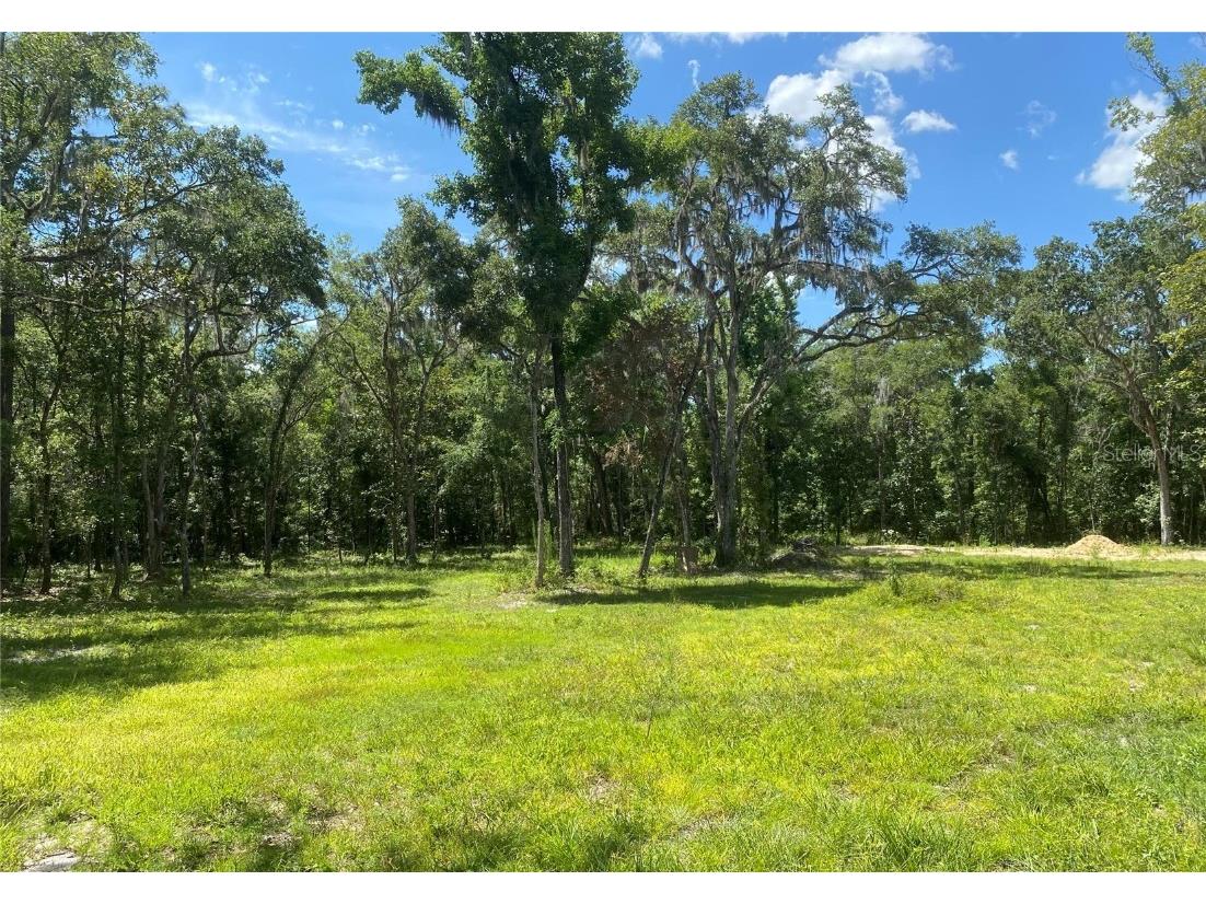 Snow Memorial Highway Brooksville FL 34601 W7874138 image8