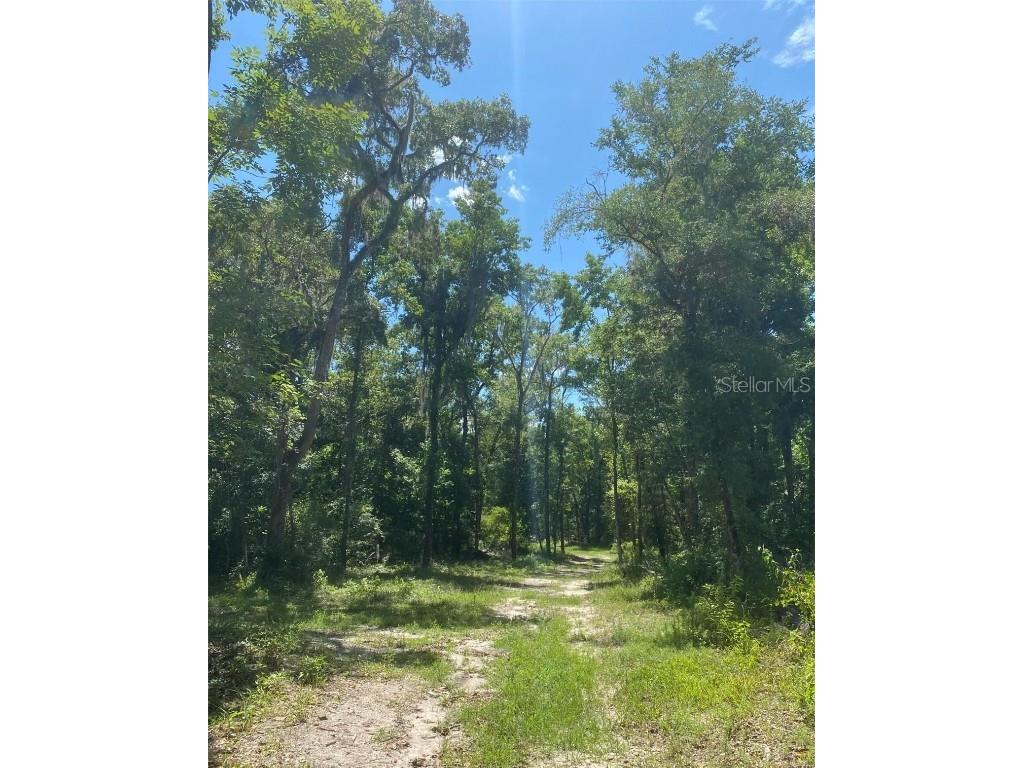 Snow Memorial Highway Brooksville FL 34601 W7874138 image9