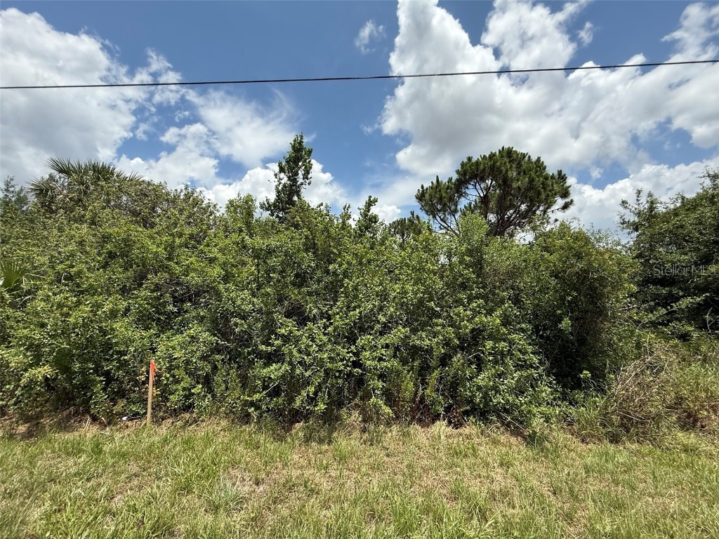 Snug Street North Port FL 34286 OK225184 image1