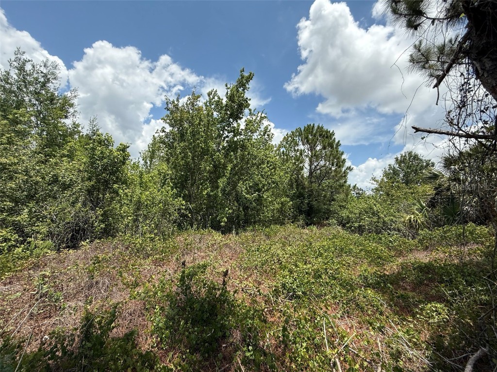 Snug Street North Port FL 34286 OK225184 image6