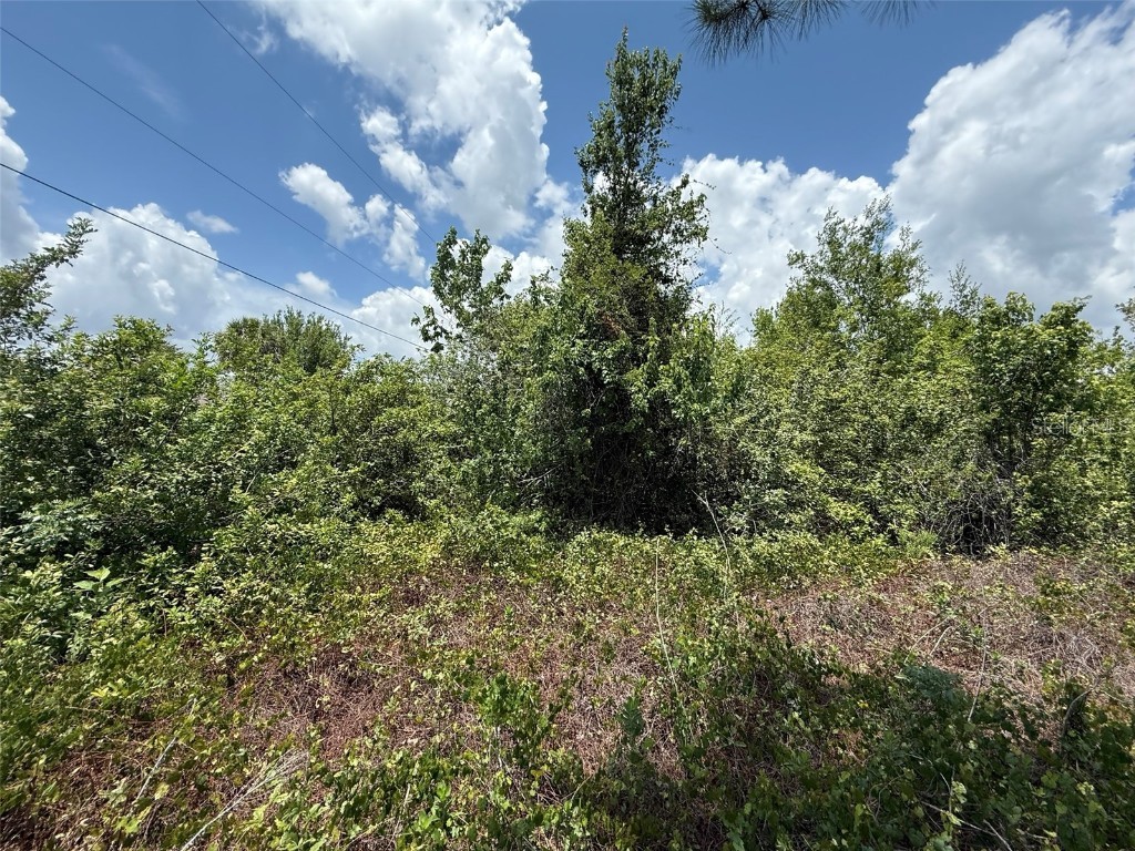 Snug Street North Port FL 34286 OK225184 image8