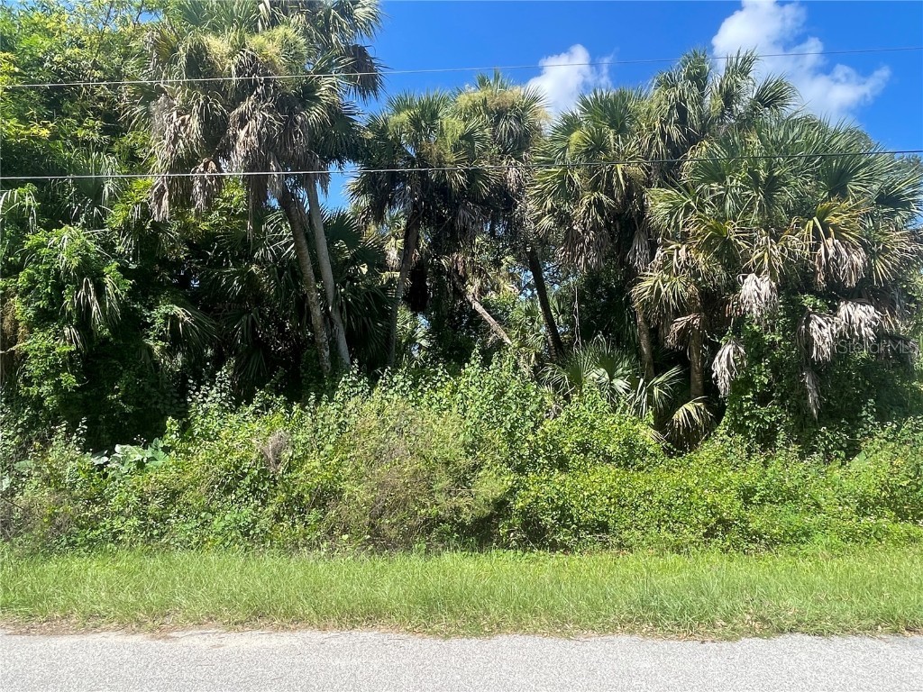 Snyder (Lot 6 Block 1019) Street North Port FL 34288 C7514923 image1