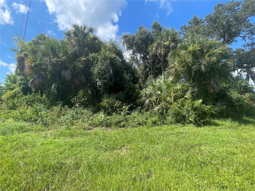 Snyder (Lot 6 Block 1019) Street North Port FL 34288 C7514923 image19
