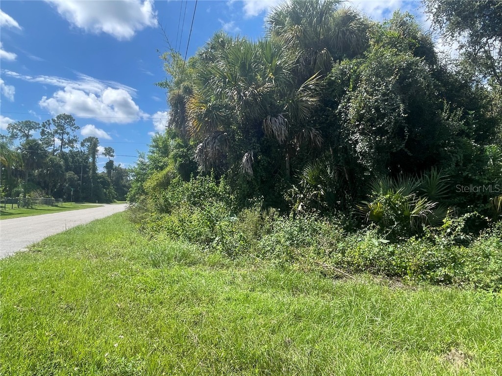 Snyder (Lot 6 Block 1019) Street North Port FL 34288 C7514923 image21