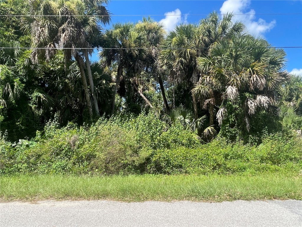 Snyder (Lot 6 Block 1019) Street North Port FL 34288 C7514923 image22