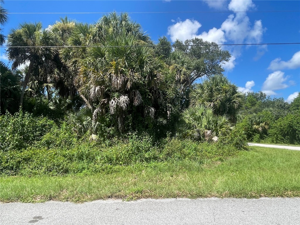 Snyder (Lot 6 Block 1019) Street North Port FL 34288 C7514923 image23