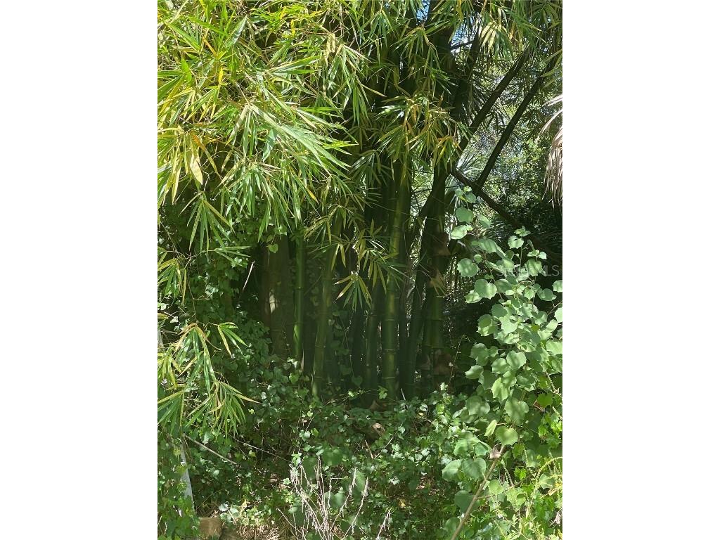 Snyder (Lot 6 Block 1019) Street North Port FL 34288 C7514923 image26