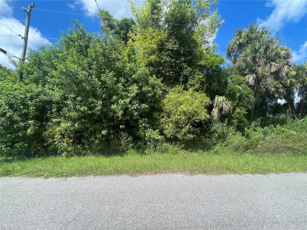 Snyder (Lot 6 Block 1019) Street North Port FL 34288 C7514923 image27