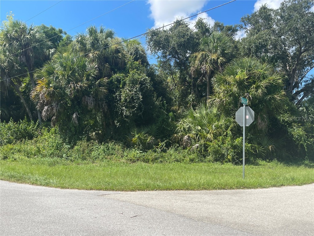 Snyder (Lot 6 Block 1019) Street North Port FL 34288 C7514923 image32