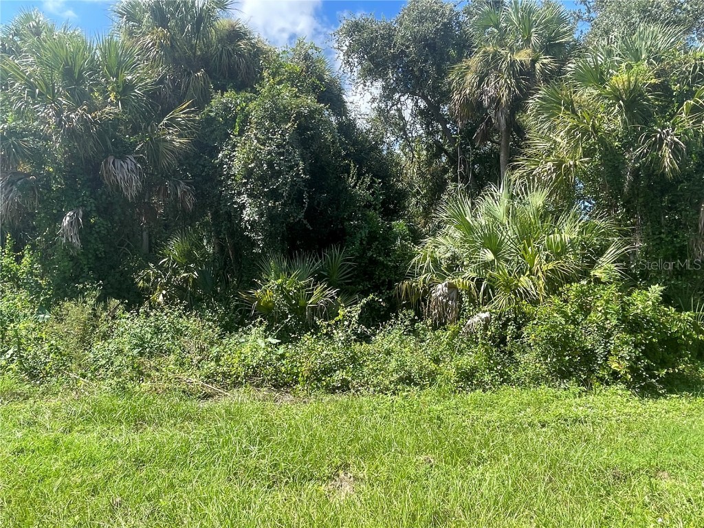 Snyder (Lot 6 Block 1019) Street North Port FL 34288 C7514923 image6