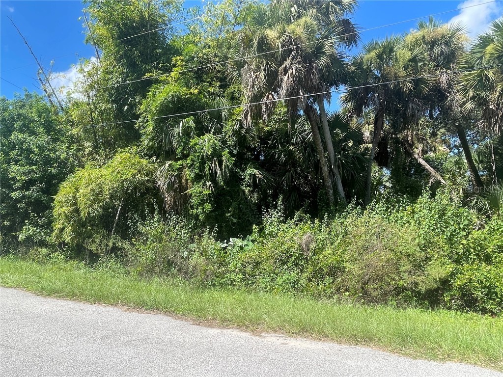 Snyder (Lot 6 Block 1019) Street North Port FL 34288 C7514923 image7