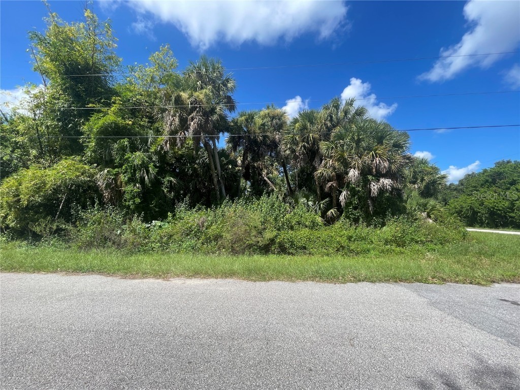 Snyder (Lot 6 Block 1019) Street North Port FL 34288 C7514923 image8