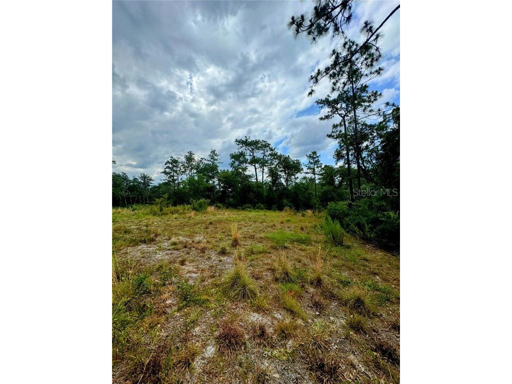 Softstone Drive Webster FL 33597 G5082941 image1