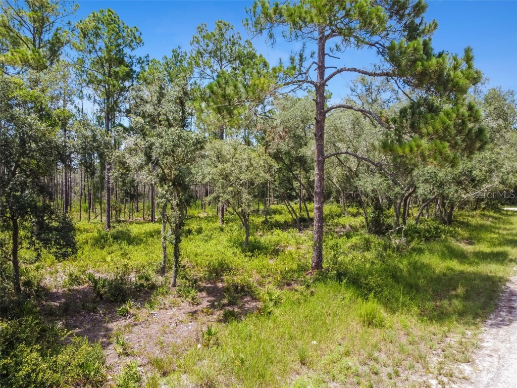 Softstone Drive Webster FL 33597 T3461458 image1