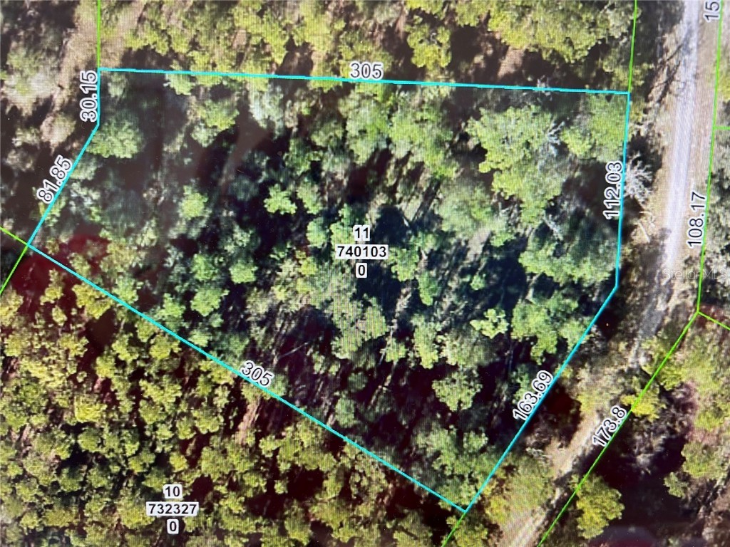 Softstone Drive Webster FL 33597 TB8415292 image1