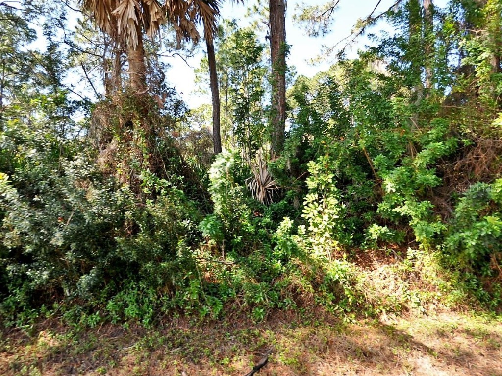 Solana Street North Port FL 34287 A4652139 image4