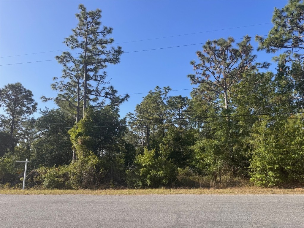 Somerset Street Orlando FL 32833 O6303736 image1