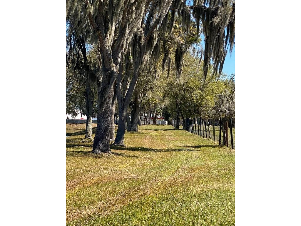 Son Keen Road Plant City FL 33566 T3505944 image12